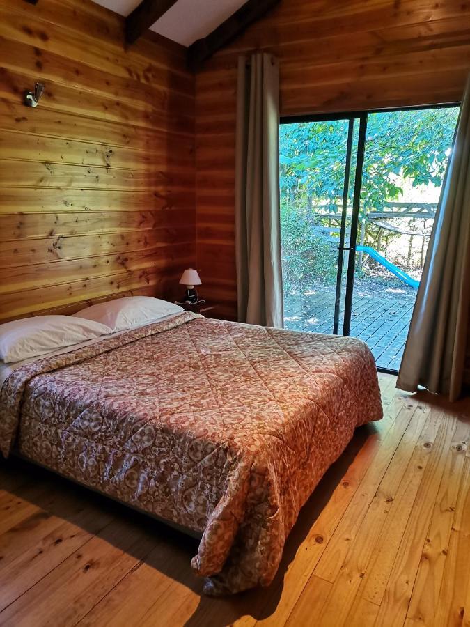 Cabanas Arcoiris Pucón Dış mekan fotoğraf